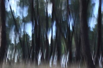 NATURA