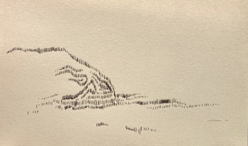 CAMPOS DE SILENCIO
